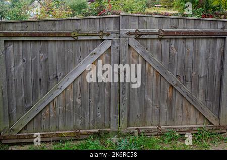 Weiße alte verwitterte Tür in der Holzwand einer alten Hütte, traditionelles Holz, Farbe blättert ab. Die Schwelle eines verlassenen Hauses ist überwuchert Stockfoto