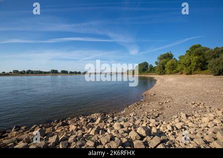 Meerbusch - Blick auf zwei Airport-Brücken, wo es im letzten Monat wegen der Verbrennung von Pflanzen nicht geregnet hat, Nordrhein-Westfalen, deutschland, 21.08.2022 Stockfoto