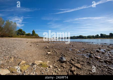 Meerbusch - Blick auf teilweise fast ausgetrocknete Teile, Nordrhein-Westfalen, Deutschland, 21.08.2022 Stockfoto