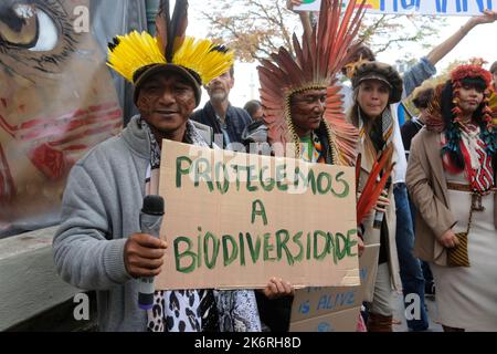 Une marche pour l'amazonie avec 6 représentants indigènes d'Amazonie et de la forêt Atlantique contre la déforestation et l'orpaillage illégal Stockfoto