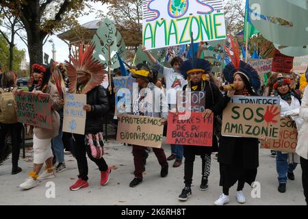 Une marche pour l'amazonie avec 6 représentants indigènes d'Amazonie et de la forêt Atlantique contre la déforestation et l'orpaillage illégal Stockfoto