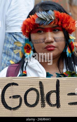 Une marche pour l'amazonie avec 6 représentants indigènes d'Amazonie et de la forêt Atlantique contre la déforestation et l'orpaillage illégal Stockfoto