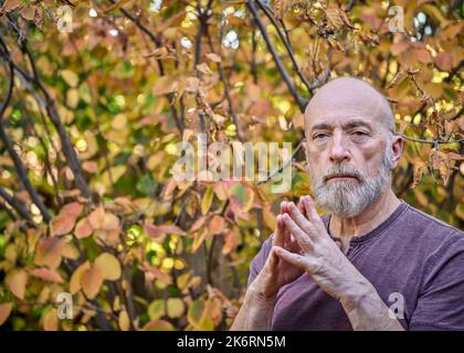 Porträt eines kahlen, bärtigen, selbstbewussten älteren Mannes (Ende 60s) gegen herbstliches Laub Stockfoto