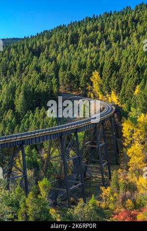 Im Herbst fahren Sie unterhalb des mullan-Passes auf der Kontinentalscheide in der Nähe von Austin, montana, mit dem Zug Stockfoto