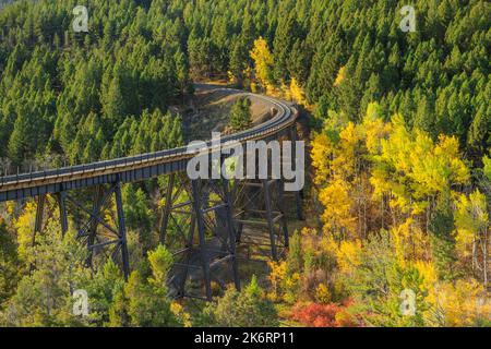 Im Herbst fahren Sie unterhalb des mullan-Passes auf der Kontinentalscheide in der Nähe von Austin, montana, mit dem Zug Stockfoto