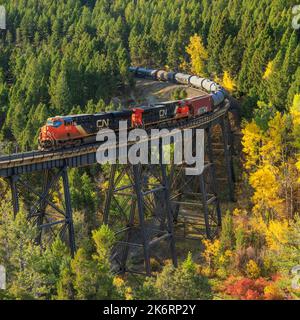 Zug, der im Herbst über einen hohen Böll unterhalb des mullan-Passes in der Nähe von Austin, montana, fährt Stockfoto