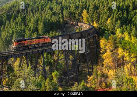 Zug, der im Herbst über einen hohen Böll unterhalb des mullan-Passes in der Nähe von Austin, montana, fährt Stockfoto