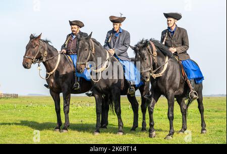 Hortobagy, Ungarn – 15. Oktober 2022. Drei ungarische Csikosok-Cowboys zu Pferd im Hortobagy-Nationalpark in Ungarn. Der csikos ist der montierte Stockfoto