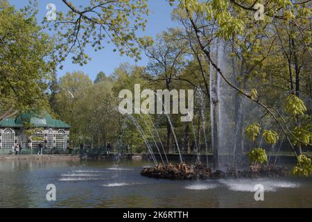 Brunnensonne am Menagerie-Teich im Unteren Garten in Peterhof, St. Petersburg, Russland. Der Brunnen stammt aus dem 18.. Jahrhundert Stockfoto