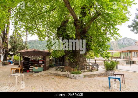 Bayir, Mugla, Türkei – 29. April 2021. Der Hauptplatz des Dorfes Bayir in der Nähe von Marmaris Ferienort der Provinz Mugla in der Türkei. Blick mit einem riesigen Flugzeug Stockfoto