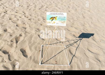 Patara, Antalya, Türkei – 12. August 2021. Nestkäfig zum Schutz der Eier der Loggerhead-Meeresschildkröte (Caretta caretta) am Strand von Patara in der Provinz Antalya Stockfoto