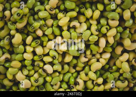 Grüne Bohnen auf dem Markt. Typisch brasilianisches Essen. Getreidefutter. Stockfoto