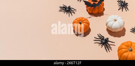 Halloween Banner Kürbis Muster mit trendigen harten Schatten. Orangefarbene Kürbisse und schwarze Spinnen auf pastellfarbenem Hintergrund. Dekoration für Halloween pa Stockfoto