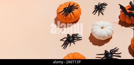 Halloween Banner Kürbis Muster mit trendigen harten Schatten. Orangefarbene Kürbisse und schwarze Spinnen auf pastellfarbenem Hintergrund. Dekoration für Halloween pa Stockfoto