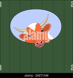 Porträt einer Kuh mit Hörnern, einer Kuh, die aus dem Fenster schaut. Die Kuh ist braun mit weißen Flecken. vektor Stock Vektor