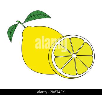 Bunte Zitrone Vektor Design Kunst. Beste Grafik-Ressourcen Illustration. vektorgrafikdesign für Icons und Symbole sowie Logo-Gestaltung und Briefpapier Stock Vektor