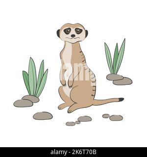 Niedliche Karikatur Meerkat isoliert auf weißem Hintergrund. Vektorgrafik. Stock Vektor