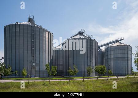 Lagerung des Ernteguts. Landwirtschaftliche Silos. Stockfoto