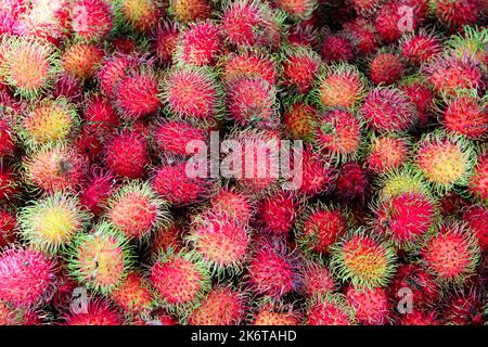 Fotografie von bunten magentafarbenen roten Früchten auf dem australischen Markt. Ein frischer und reifer Haufen Rambutans, der wie behaarte Litschi aussieht. Stockfoto