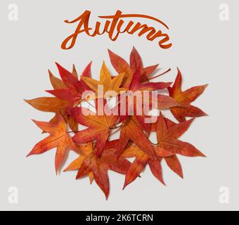 Ein Haufen herbstlicher Blätter überlappt sich in einem Kreis, Herbstfarben von rot, orange und Gold auf weißem Hintergrund. Text mit dem Text „Herbst“. Stockfoto