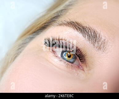 Nahaufnahme der Wimpern-Erweiterungen im Schönheitssalon Makroauge Stockfoto