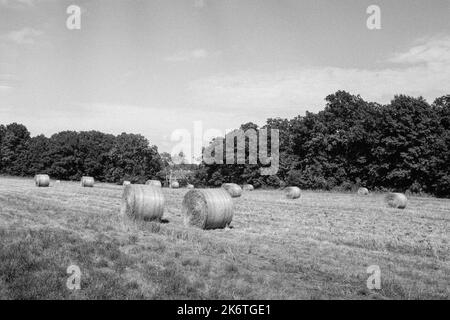 Runde Heubälle standen auf einem Feld bei Cogswell Grant im historischen Essex, Massachusetts. Das Bild wurde auf analogem Schwarzweiß-Film aufgenommen. Stockfoto