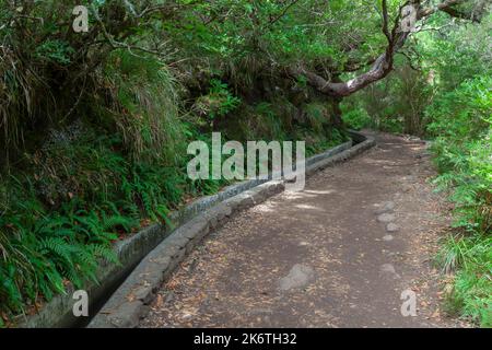 Rabacal, Naturwandergebiet der Levada do Risco Levada Wanderweg, links eine Levada Wasserleitung, Madeira, Portugal Stockfoto