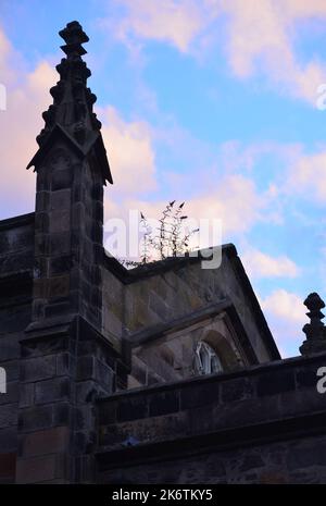 King's College in Old Aberdeen, Schottland Stockfoto