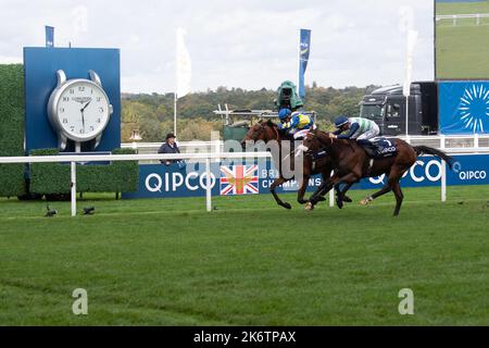 Ascot, Bergen, Großbritannien. 15.. Oktober 2022. Pferd Trueshan unter Jockey Hollie Doyle gewinnt den QIPCO British Champions Long Distance Cup (Klasse 1) (Gruppe 2) (British Champions Series) beim QIPCO British Champions Day auf der Ascot Racecourse gegen Pferd Coltrane unter Jockey David Probert. Eigentümer Singula Partnerschaft. Trainer Alan King, Barbury Castle. Züchter Didier Blot2, Sponsor Goodwin Racing Ltd Quelle: Maureen McLean/Alamy Live News Stockfoto