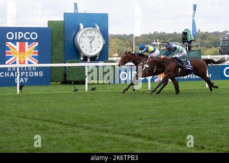 Ascot, Bergen, Großbritannien. 15.. Oktober 2022. Pferd Trueshan unter Jockey Hollie Doyle gewinnt den QIPCO British Champions Long Distance Cup (Klasse 1) (Gruppe 2) (British Champions Series) beim QIPCO British Champions Day auf der Ascot Racecourse gegen Pferd Coltrane unter Jockey David Probert. Eigentümer Singula Partnerschaft. Trainer Alan King, Barbury Castle. Züchter Didier Blot2, Sponsor Goodwin Racing Ltd Quelle: Maureen McLean/Alamy Live News Stockfoto