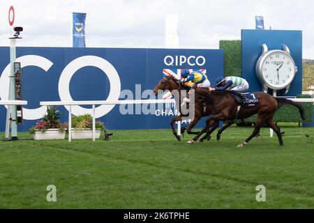 Ascot, Bergen, Großbritannien. 15.. Oktober 2022. Pferd Trueshan unter Jockey Hollie Doyle gewinnt den QIPCO British Champions Long Distance Cup (Klasse 1) (Gruppe 2) (British Champions Series) beim QIPCO British Champions Day auf der Ascot Racecourse gegen Pferd Coltrane unter Jockey David Probert. Eigentümer Singula Partnerschaft. Trainer Alan King, Barbury Castle. Züchter Didier Blot2, Sponsor Goodwin Racing Ltd Quelle: Maureen McLean/Alamy Live News Stockfoto