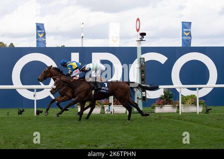 Ascot, Bergen, Großbritannien. 15.. Oktober 2022. Pferd Trueshan unter Jockey Hollie Doyle gewinnt den QIPCO British Champions Long Distance Cup (Klasse 1) (Gruppe 2) (British Champions Series) beim QIPCO British Champions Day auf der Ascot Racecourse gegen Pferd Coltrane unter Jockey David Probert. Eigentümer Singula Partnerschaft. Trainer Alan King, Barbury Castle. Züchter Didier Blot2, Sponsor Goodwin Racing Ltd Quelle: Maureen McLean/Alamy Live News Stockfoto