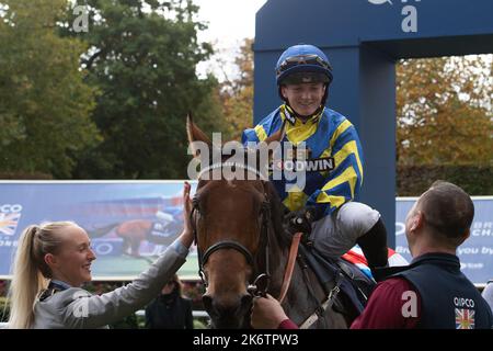 Ascot, Bergen, Großbritannien. 15.. Oktober 2022. Pferd Trueshan unter Jockey Hollie Doyle gewinnt den QIPCO British Champions Long Distance Cup (Klasse 1) (Gruppe 2) (British Champions Series) beim QIPCO British Champions Day auf der Ascot Racecourse gegen Pferd Coltrane unter Jockey David Probert. Eigentümer Singula Partnerschaft. Trainer Alan King, Barbury Castle. Züchter Didier Blot2, Sponsor Goodwin Racing Ltd Quelle: Maureen McLean/Alamy Live News Stockfoto