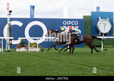 Ascot, Bergen, Großbritannien. 15.. Oktober 2022. Pferd Trueshan unter Jockey Hollie Doyle gewinnt den QIPCO British Champions Long Distance Cup (Klasse 1) (Gruppe 2) (British Champions Series) beim QIPCO British Champions Day auf der Ascot Racecourse gegen Pferd Coltrane unter Jockey David Probert. Eigentümer Singula Partnerschaft. Trainer Alan King, Barbury Castle. Züchter Didier Blot2, Sponsor Goodwin Racing Ltd Quelle: Maureen McLean/Alamy Live News Stockfoto