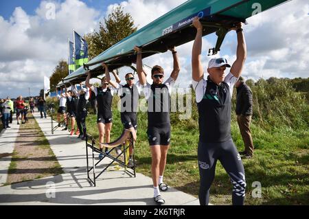 Rudern acht, Rudern 8, Deutsche Nationalmannschaft beim Canal Cup auf dem Nord-Ostsee-Kanal. Ruderwettbewerb beim härtesten Rennen der Welt dazwischen Stockfoto