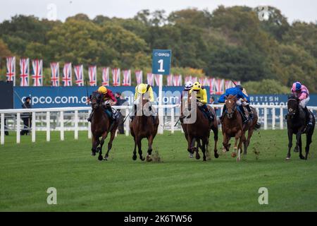 Ascot, Bergen, Großbritannien. 15.. Oktober 2022. Horse Bayside Boy (ganz links) unter dem Jockey Tom Marquand gewinnt die Queen Elizabeth II Stakes (Klasse 1) (gesponsert von QIPCO) (Gruppe 1) (British Champions Mile). Trainer Roger Varian, Newmarket. Besitzer Teme Valley und Ballylinch Gestüt. Züchter Ballylinch Stud2. Sponsor Von Varian Stable Ltd Quelle: Maureen McLean/Alamy Live News Stockfoto