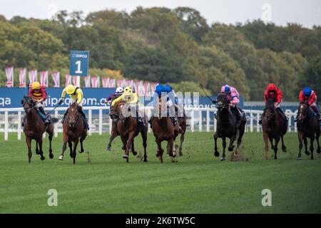 Ascot, Bergen, Großbritannien. 15.. Oktober 2022. Horse Bayside Boy (ganz links) unter dem Jockey Tom Marquand gewinnt die Queen Elizabeth II Stakes (Klasse 1) (gesponsert von QIPCO) (Gruppe 1) (British Champions Mile). Trainer Roger Varian, Newmarket. Besitzer Teme Valley und Ballylinch Gestüt. Züchter Ballylinch Stud2. Sponsor Von Varian Stable Ltd Quelle: Maureen McLean/Alamy Live News Stockfoto