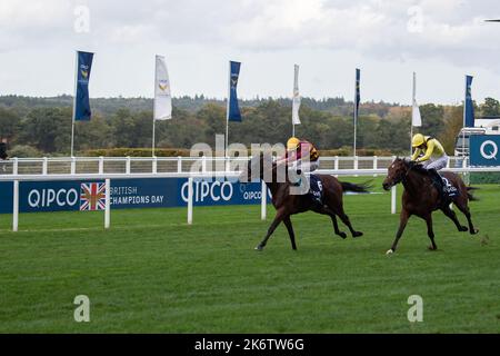 Ascot, Bergen, Großbritannien. 15.. Oktober 2022. Der von Jockey Tom Marquand gerittene Horse Bayside Boy gewinnt die Queen Elizabeth II Stakes (Klasse 1) (gesponsert von QIPCO) (Gruppe 1) (British Champions Mile). Trainer Roger Varian, Newmarket. Besitzer Teme Valley und Ballylinch Gestüt. Züchter Ballylinch Stud2. Sponsor Von Varian Stable Ltd Quelle: Maureen McLean/Alamy Live News Stockfoto