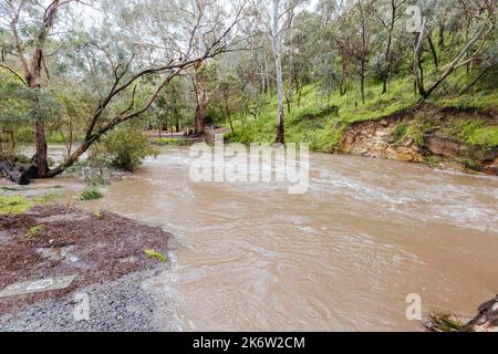 Melbourne, Victoria, Australien. 14. Oktober 2022. MELBOURNE, AUSTRALIEN - 14. OKTOBER: Darebin Parklands überflutet am 14. Oktober 2022 in Victoria, Australien. Das Wettermuster von La Nina trägt zu Rekordregenrekorden von Niederschlägen in ganz Victoria bei. (Bild: © Chris Putnam/ZUMA Press Wire) Stockfoto