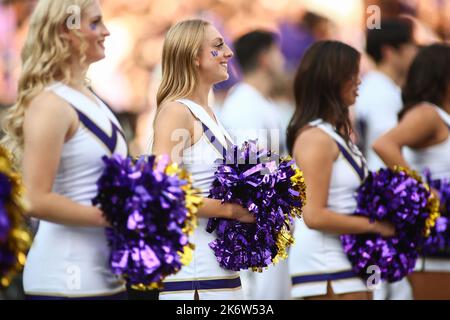 Seattle, WA, USA. 15. Oktober 2022. Mitglieder der Geistermannschaft der Washington Huskies während eines Spiels zwischen den Arizona Wildcats und den Washington Huskies im Husky Stadium in Seattle, WA. Die Huskies gewannen 49:39. Sean Brown/CSM/Alamy Live News Stockfoto