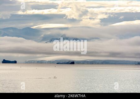 Schote von Orca-Walen (Orinus Orca, Killerwal). dallmann Bucht mit antarktischer Halbinsel im Hintergrund. Antarktis Stockfoto