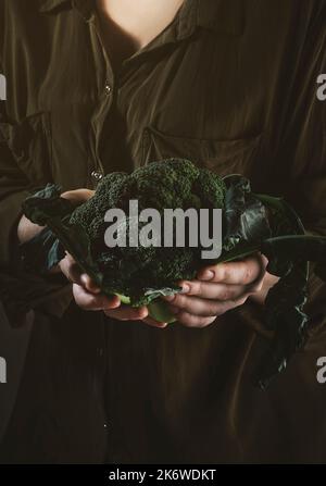 Brokkoli-Kohl mit Blättern in weiblichen Händen, Herbstfutter, Ernte, Vegetarismus Konzept. Getöntes Bild im Low-Key-Stil Stockfoto