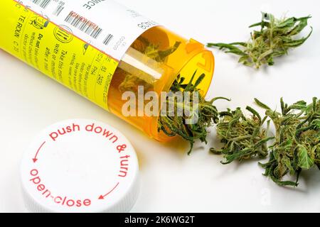 Cannabis (medizinisches Marihuana) Rezept - Verschütten von getrockneten Blumen aus der Flasche Stockfoto