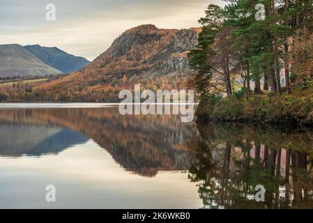 Landschaftsansicht über Derwentwater vom Manesty Park in Richtung Blencathra und Walla Crag mit atemberaubenden Herbstfarben Stockfoto