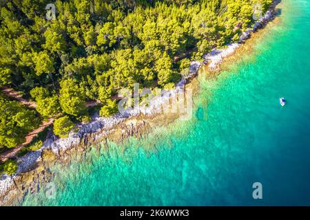 Türkisfarbener Steinstrand in Rovinj Luftbild, Pinien Archipel, Istrien Region Kroatien Stockfoto