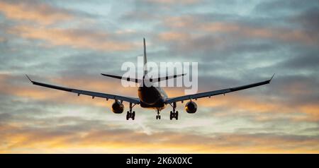 Die Silhouette eines Passagierflugzeugs, das vor dem Hintergrund des Sonnenuntergangs landet. Stockfoto