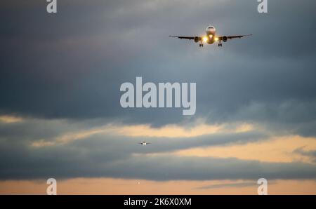 Die Silhouette eines Passagierflugzeugs, das vor dem Hintergrund des Sonnenuntergangs landet. Stockfoto