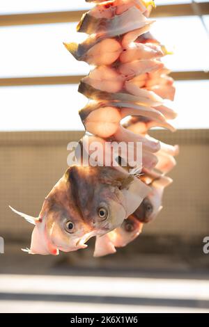 Rohe Fische, getrocknet auf einem Balkon vertikale Komposition Stockfoto