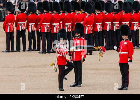 Unrolling the Color, The Colonel's Review, Trooping the Color, London, England, VEREINIGTES KÖNIGREICH Stockfoto