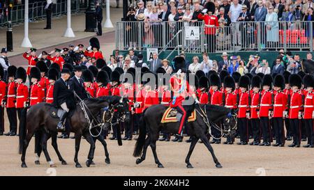 Prinz William, jetzt Prinz von Wales, inspiziert die Linie in zeremonieller Uniform zu Pferd, The Colonel's Review, Trooping the Color, London Stockfoto